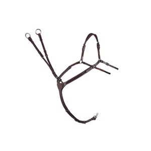 Montar Papillon borsttuig met martingaal